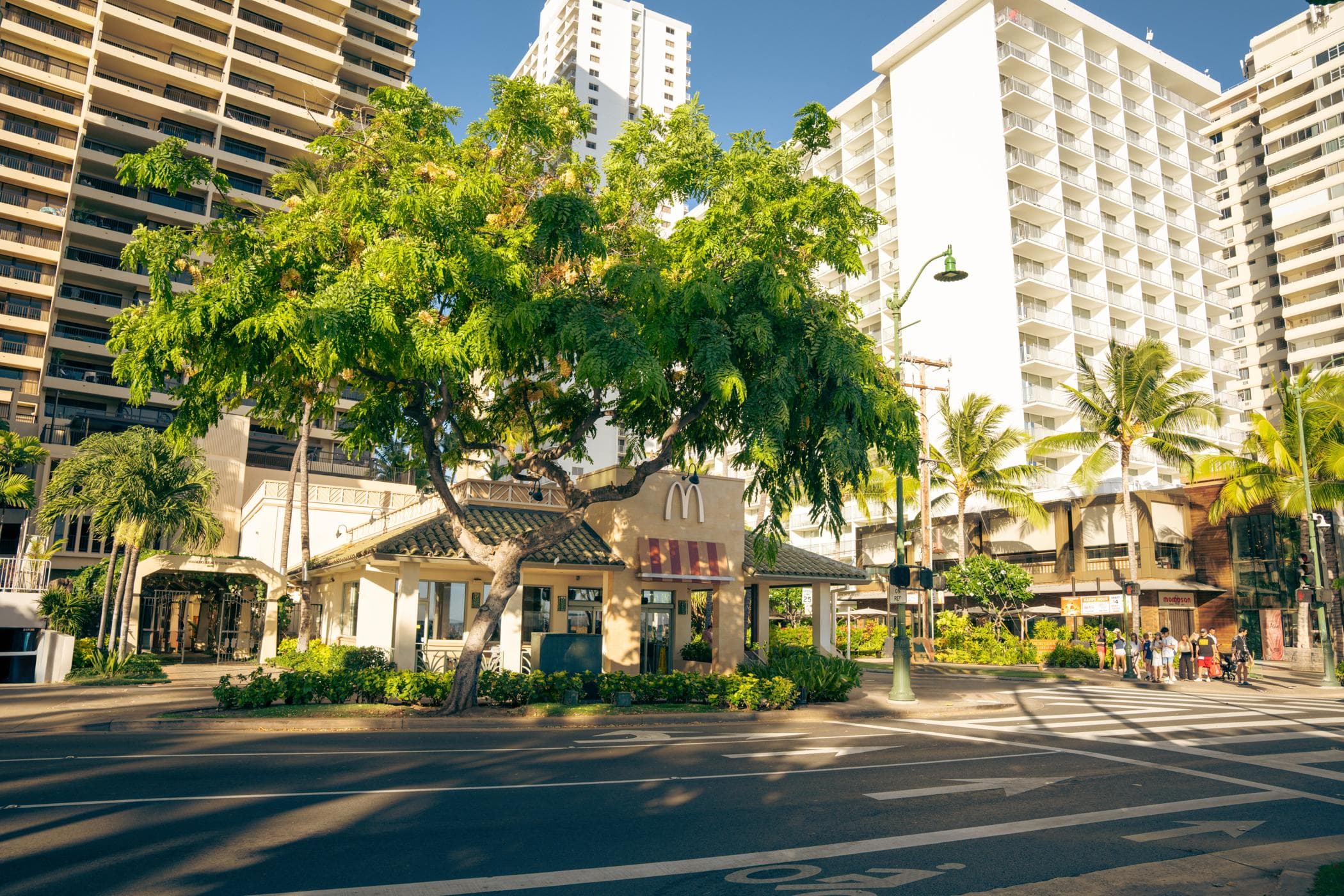 Call to action Banner